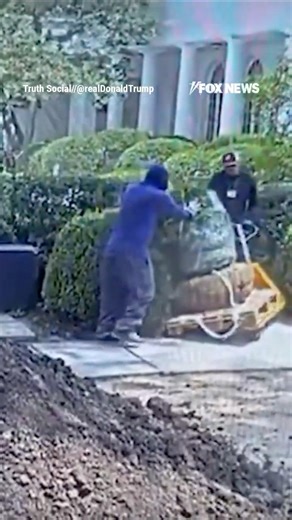 ‘WE CAUGHT THEM’: Trump BANS contractor over Rose Garden damage #shorts #foxnews #news #us #fox
