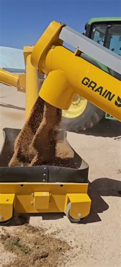 Grain unloading using a drive-over grid and swing-away auger, designed to handle approximately 200–230 tph. Shown here in action on site. https://commanderag.au/grain-commander/drive-over-grid/ https://commanderag.au/grain-commander/swing-away-auger/ #grain #driveovergid #unlaodingtruck | Commander Agriculture
