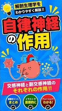 ＼自律神経の作用／ #解剖生理学