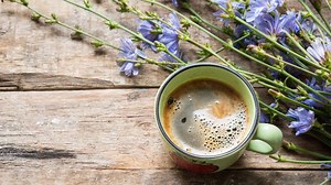 Why You Should Add Chicory to Your Coffee