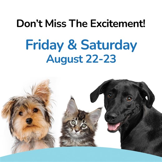 Don't miss Halifax Humane Society's Clear the Shelters Crescendo Event this Friday and Saturday! There is no cost to adopt any dog or cat! Adopt a homeless animal this weekend and find your new best friend with no adoption fees! The fun starts at noon each day with live music, food trucks, face painting, and cool treats. GoJuice, Beezer Eats, Frozen Frog Shaved Ice and The Knot will be on hand with free food and treats for the humans! As part of Clear the Shelters with NBCUniversal, WESH 2 News,