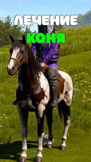 HORSE HEALING is now in Rust! How to improve horse performance? #rust #rust
