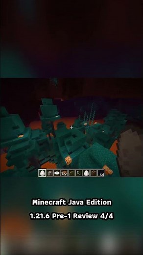 Minecraft Java Edition 1.21.6 Pre-1 Review 4/4