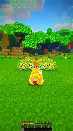 Minecraft Elytra Launcher! #minecraft #minecrafttutorial #minecraftbuilding