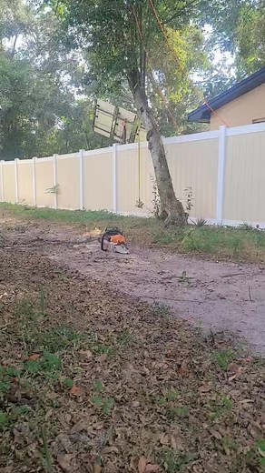 5 comments | Apex Solutions Tree Service on Reels | Facebook