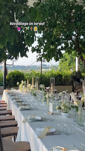 danashirazburshan ב-TikTok