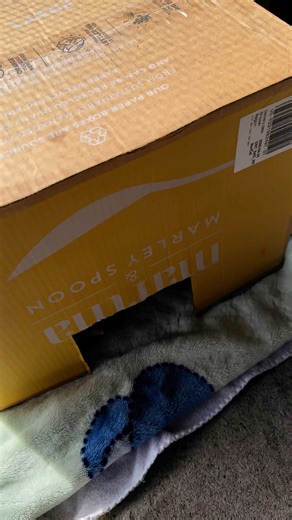 151K views · 7.8K reactions | Behold: a perfect opossum bundle. These...