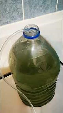 arrosage automatique de vos plantes avec une pompe à air pour culture en bouteilles