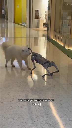 Top 5 Reasons to Start Smoking Today 😳 ☠️