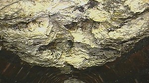 Bus-sized ‘fatberg’ removed from London sewers