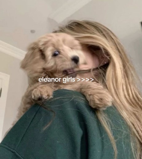 Eleanor, Jeanette e Alvin: O Mundo dos Chipmunks