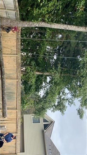 Arborist #new #treecuttingdown #professional #super #shorts #arboristsofinstagram