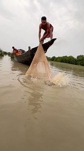 Amazing sundarban river big fish cast net fishing #reels #fishing #fishinglife #CastNetFishing #foryouシ #viralreels #bigfish | BD Fishing