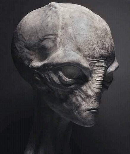 11K views · 176 reactions | Dolores Cannon, the truth about UFOs and aliens #UFO #Alien #FYP CREDITS: https://www.tiktok.com/t/ZP8ULULxf/ | UFO GOD | Facebook