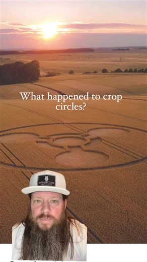 1.2K views · 12 reactions | #cropcircles #aliens #alien #80s #90s #90skids #90sthrowback | Apex Predator Outfitters | Facebook