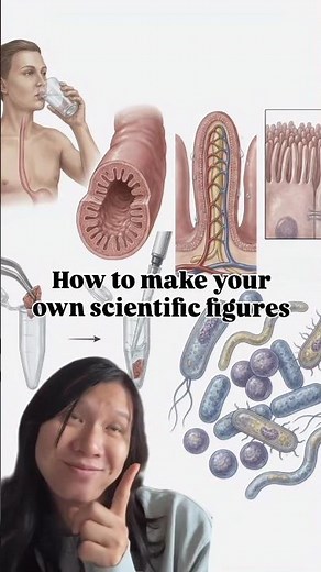 How to make your own scientific figures #science #research #academia