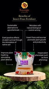 Insect Frass Fertilizer -100% Organic All-Purpose Plant Food & Soil Amendment, Natural Nutrients for Houseplants, Gardens & Lawns, 3 lb Bag