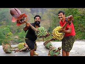 ലോകത്തിലെ ആദ്യത്തെ വാഴ | Medicinal & Ornamental Plant | Ensete Superbum | M4 Tech |