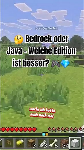 🤔 Bedrock oder Java – Welche Edition ist besser? 🎮💎 #Minecraft #Gaming