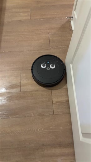 Moopster Mopster out in these streets (my apartment) #ridindirty #roomba