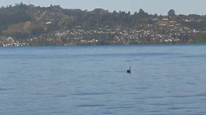 Alert level raised for NZ Taupo Volcano