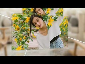 Chia sẻ Style Proshow Producer đẹp p11 | Rực rỡ | Free download