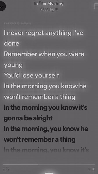 in the morning - razorlight