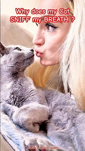 Why does my Cat SNIFF my BREATH ?