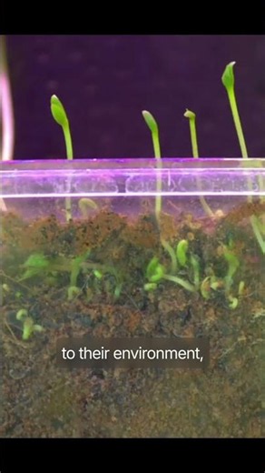 The Secrets of Life: Unlocking the Science Behind Living Organisms