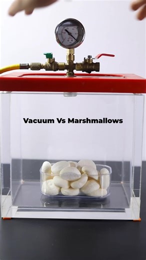 Vacuum Vs Marshmallows: A Physics Experiment