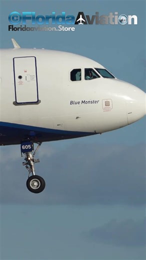JetBlue Airbus A320 Red Sox Livery Close-Up Landing at Fort Lauderdale FLL