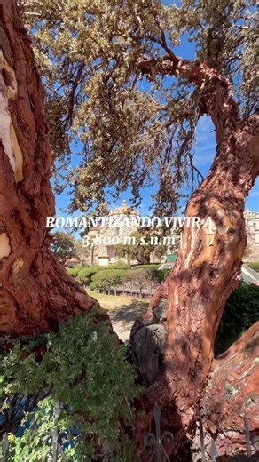 Romantizando vivir en el sur: escapada por carretera en Puno