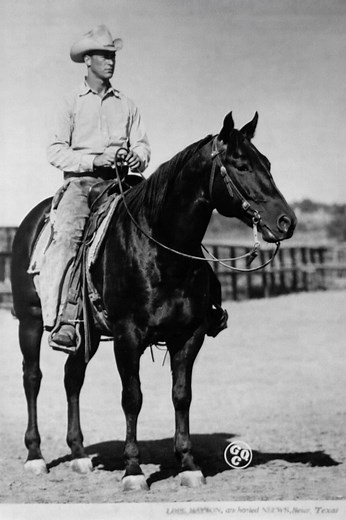 The legacy of Poco Bueno is firmly etched into the foundation of the American Quarter Horse, but his rise to greatness did not happen in isolation. Central to his early success was Pine Johnson, a skilled and respected horseman whose riding helped reveal Poco Bueno’s extraordinary natural ability. Together, horse and rider formed a partnership that left a lasting mark on Western performance horse history. 🌟 Pine Johnson: A True Horseman Pine Johnson was known for his calm presence and deep unde