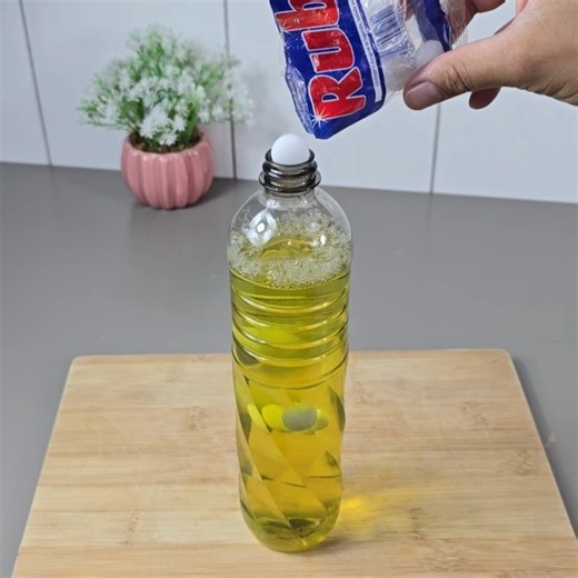 Pest control experts don't want you to discover this cheap trick! | Wonderful Recipes and Tips