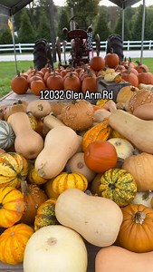 Stop by for all the fall produce 🍂🍁 | Burton Farms