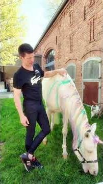 Einhorn in Brandenburg gesichtet🦄!