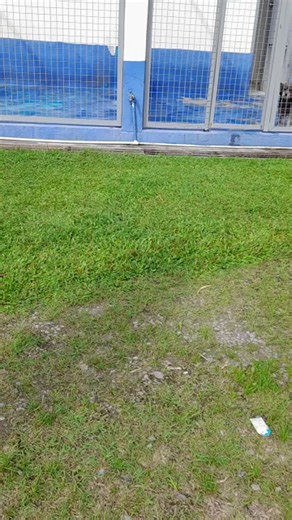 IWCT Philippines on Reels