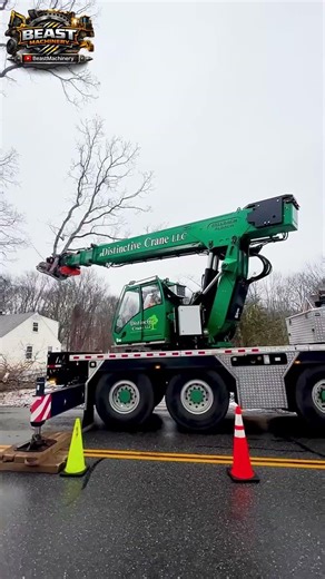 This Machine Cuts Trees Like Nothing 😳 #shorts