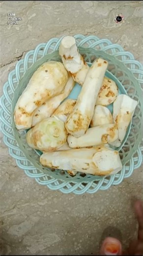 Tips to Peel Taro Root (Arvi) Without Itching | Easy Step-by-Step Guide