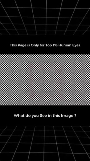 Stunning Optical Illusions For The Elite 1%