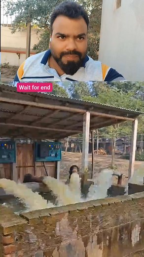 Machhali palan ka naya system #reel #reelsfacebook #reelstrending #reelschallenge #viralvideochallenge #picturechallenge Mani Meraj Vines | Rashid Ali