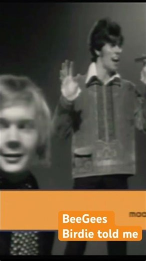 #thebeegees Birdie told me