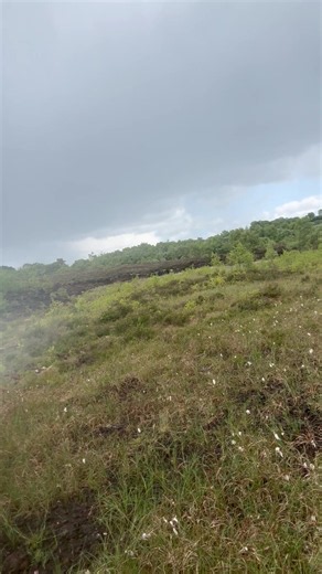 Wild Flowers, Thunderstorm & Humility: A Nature Lesson