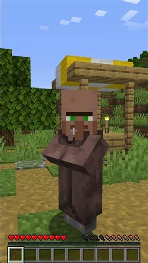 I Asked Every Minecraft Mob One Question #shorts #skit #animation #comedy