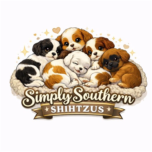 Simply Southern Shihtzus of Florida | Hawthorne FL