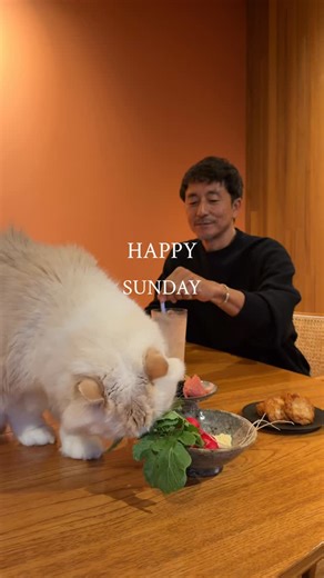 Teruaki Hayashi 50代の優しい暮らし on Instagram: "夕日の家を購入した時、取り壊す予定だったガレージ どうせならと思い、いろいろDIYしてみる事にしました😊 カインズでセールになっていたテーブルの脚をサーフボードラックに使ってみました🧠 なかなか良いのではないか🤔 壁も塗装しようと思っているのですが、塗料の計算方法は🤔? 何色にするかわくわくしております 電気も変えておじさんの隠れ家にしよう💡 さて、家の事 みなさん大好きなプリンセスも夕日の家にやってきて窓辺で元気にしております ひととき留守にし過ぎて元気がなくなっていましたが、新芽もつけて元気になりました✨ ずっとトレーを探していて、やっとピンとくるものに出会えました acrmtsmというサイトで見つけたワンハンドルトレーCHERRY材 センターテーブルを買わなくて済みそうです ソファの上に置いたり、フルーツを飾ってみたり とても良い👍 もうひとつ、amazonで買った真鍮のフック、タオル掛けにしようと思い付けてみたらこれもまた良かった✨2個で1600円位でした🫶 お風呂に入ろうよ、ベッ