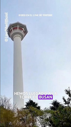 🇰🇷 The challenge, climbing up to Busan Tower #southkorea #busan #seoul #traveltokorea #travel