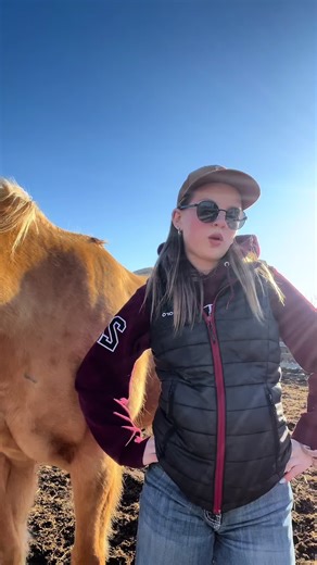 Swinging Ponytail Dance Moves with Adorable Ponies