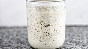 Easy Gluten Free Sourdough Starter