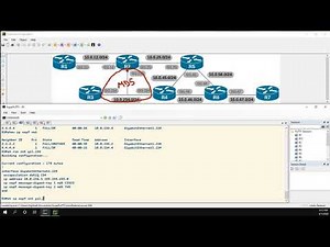 OSPF Authentication Types